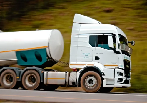 pexels-linken-van-zyl-263454378-16023092